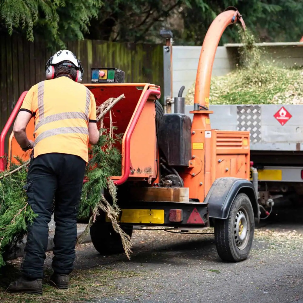 Arborist Insurance Illinois