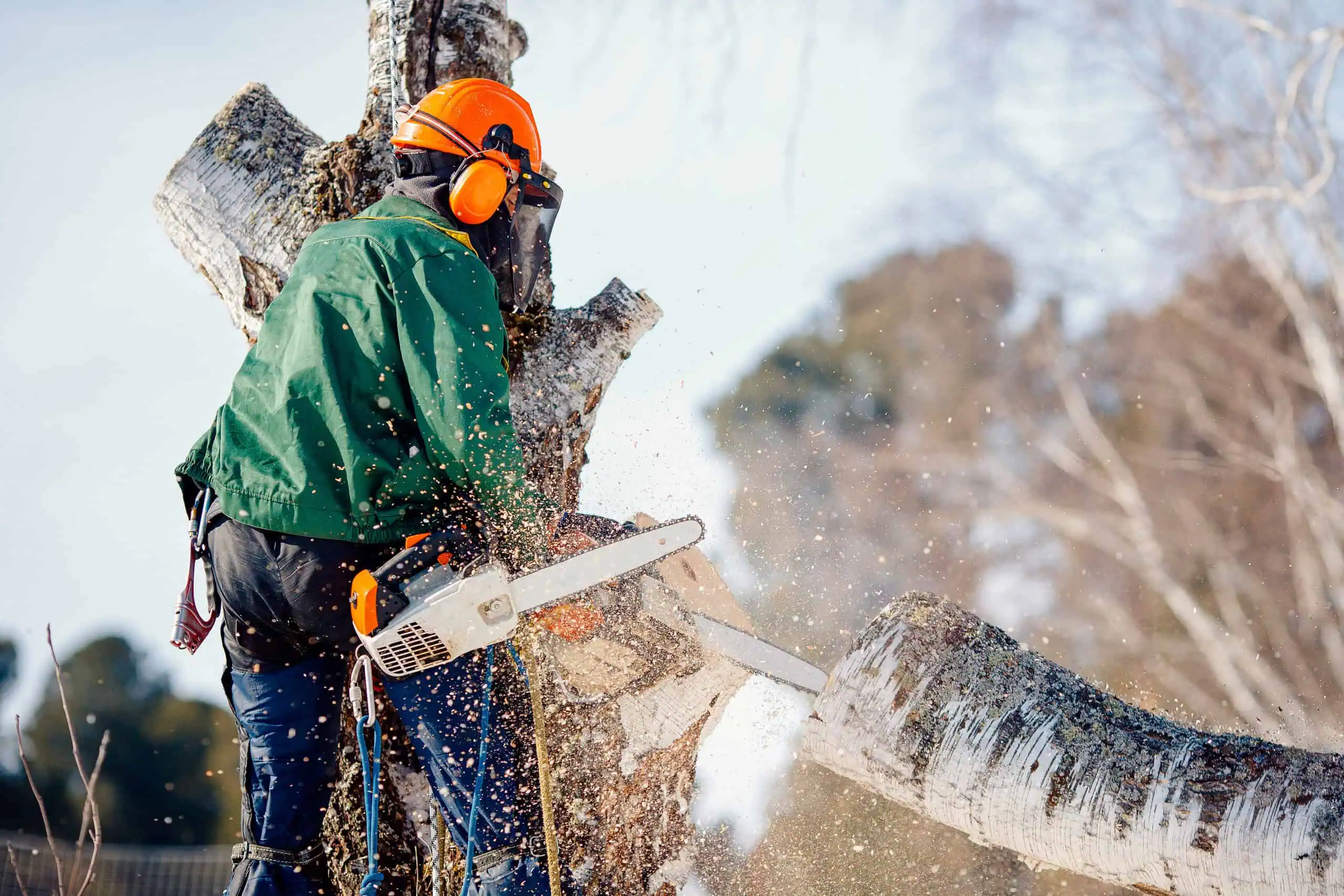 Arborist Insurance Illinois